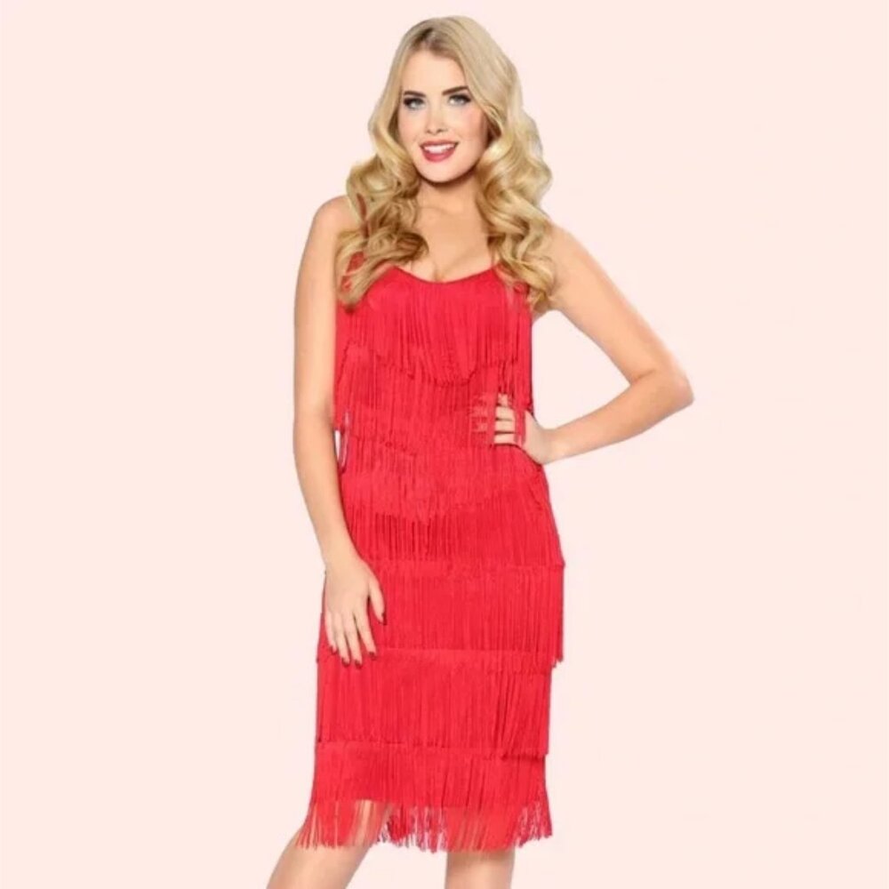 Shimmy & Shake Fringe Flapper Dress
